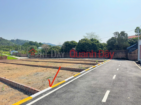 Opportunity to own 100m² of land in Minh Phu, Soc Son. A peaceful and healthy rural setting. _0