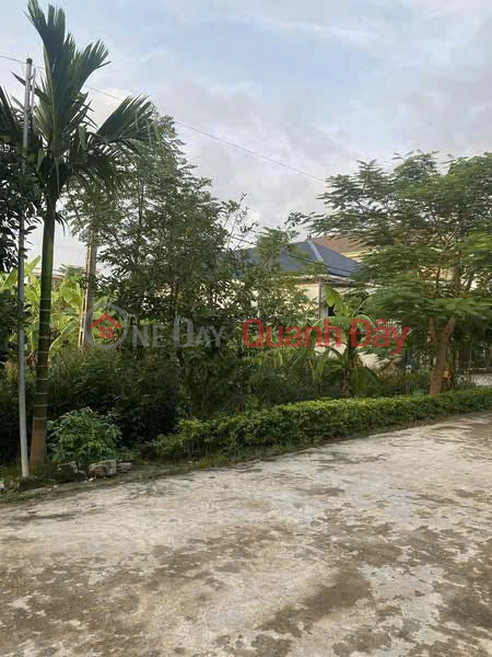 Property Search Vietnam | OneDay | Nhà ở Niêm yết bán ĐẤT ĐẸP – GIÁ TỐT - CẦN BÁN NHANH LÔ ĐẤT Mặt Tiền TẠI Xóm 5 Xã Quỳnh Ngọc, Huyện Quỳnh Lưu Tỉnh Nghệ An