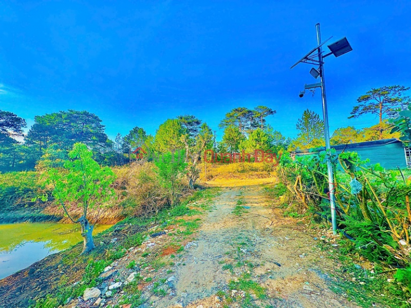 Property Search Vietnam | OneDay | Residential | Sales Listings BEAUTIFUL LAND - GOOD PRICE - NEED TO SELL A LOT OF LAND IN A GOOD LOCATION IN Mang Lin, Ward 7, Da Lat City. LAM DONG