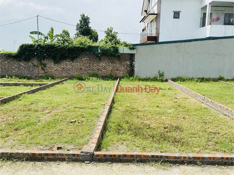 ₫ 20 Million | Land for sale in Huong Dinh, Mai Dinh close to Noi Bai industrial park CN2, CN3 with car access to the land for just over 800 million