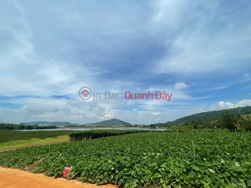 đ 24 Billion, PRIME LAND - SUPERB PRICE - LAND FOR SALE WITH BEAUTIFUL VIEW IN DUC TRONG, LAM DONG - OVER 1 HECTARE - PRICE 24 BILLION VND