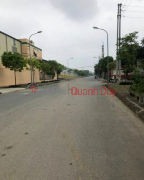 Selling 2500m2 of industrial park land in Quat Dong, Thuong Tin, Hanoi for 2x billion Sales Listings