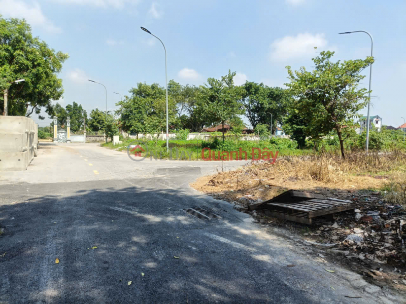 Land for sale, very nice location, right next to Vinhomes Ocean Park 2, divided into lots for car parking | Vietnam | Sales đ 19 Billion