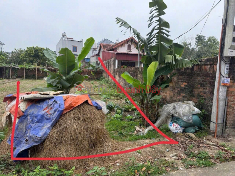 ĐẤT ĐẸP - GIÁ TỐT - Cần Bán Nhanh Lô Đất Vị Trí Đắc Địa Tại Trung Giã, Sóc Sơn, Hà Nội, Việt Nam Bán đ 1,93 tỷ
