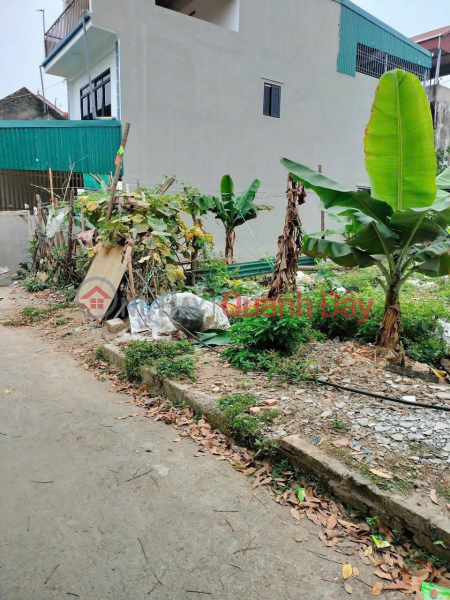 Property Search Vietnam | OneDay | Residential, Sales Listings OWNER SELLS BEAUTIFUL LAND LOT - GOOD PRICE - Prime Location At Tran Phu Village, Dan Hoa Commune, Thanh Oai District, Hanoi City