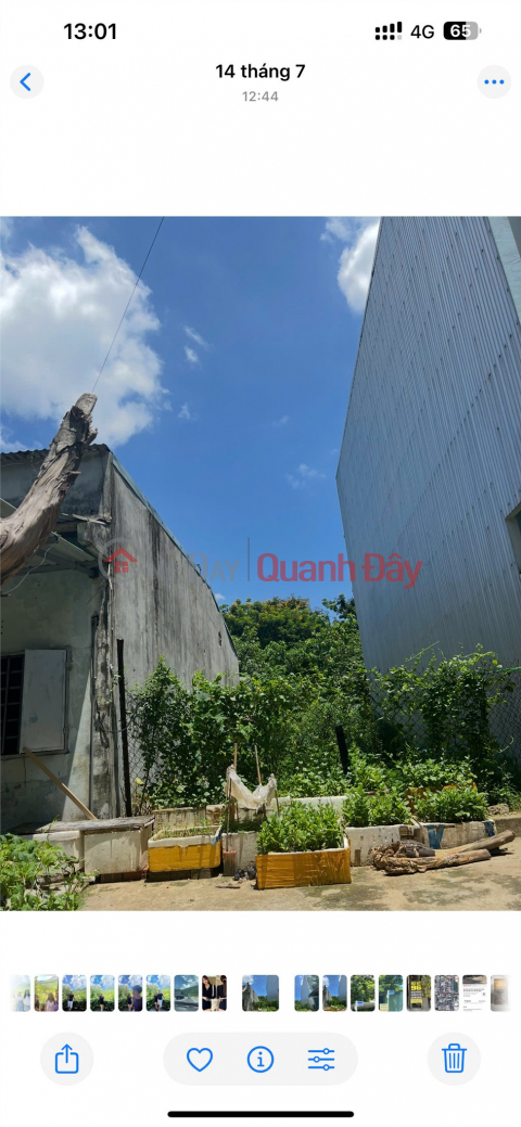 LÔ ĐẤT VỊ TRÍ ĐẸP – GIÁ TỐT sở hữu ngay lô đất tiềm năng vị trí tại Quận Liên Chiểu, thành phố Đà Nẵng _0