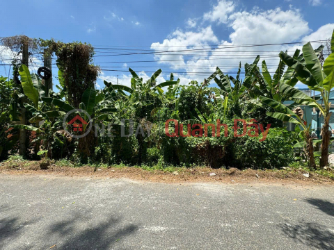 PRIME LAND – GOOD PRICE – OWNER SELLING LAND in Tan Hoa Commune, Vinh Long City, Vinh Long Province _0