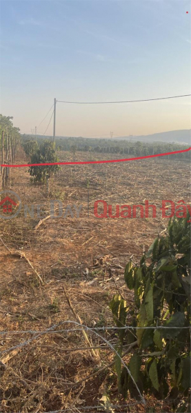 Property Search Vietnam | OneDay | Residential Sales Listings, Beautiful Land - Good Price - Owner Needs to Sell Land Lot in Nice Location in iaka Chubăh Gia Lai Commune