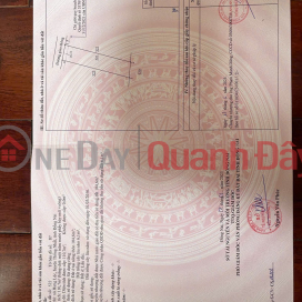 BEAUTIFUL LAND - GOOD PRICE - Urgently Need to Sell Plot of Land in Dau Day Commune, Dong Nai _0