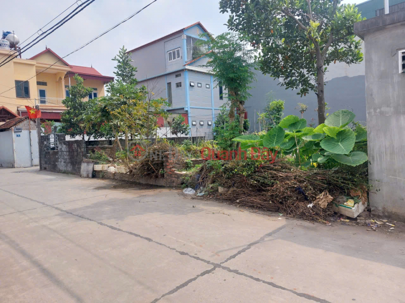 OWNER needs to sell 100m2 of residential land - in the center of Phuc Tho town, Hanoi - Road accessible by car. Sales Listings