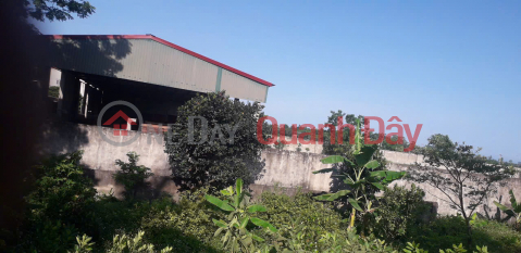 URGENT - OWNER NEEDS TO SELL LAND LOT LOCATED in Hoang Dao commune, Hoang Hoa district, Thanh Hoa province _0