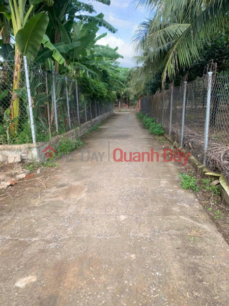 Cần bán nhanh lô Đắc Lộc - Vĩnh Phương ( nay là Phường Bắc Nha Trang ) 990 triệu | Việt Nam | Bán | đ 990 triệu