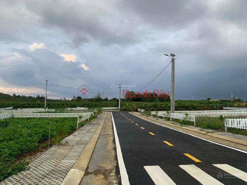 Land for sale in Dam Bri Commune, Bao Loc, Lam Dong, 2.8 billion, 223m2 with preferential price only, Vietnam Sales đ 2.8 Billion