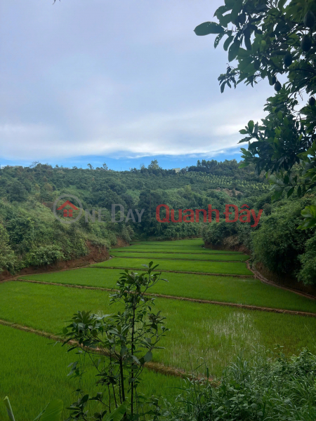 đ 1.8 Billion | Land for sale for Homestay, Farmstay