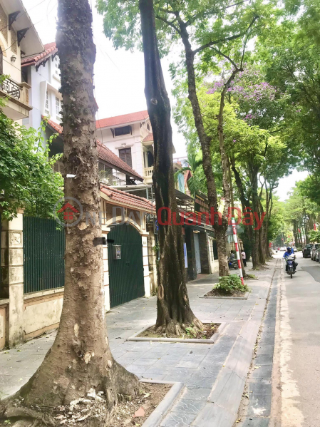 Property Search Vietnam | OneDay | Residential | Sales Listings, The owner asked to sell Tho Thap Villa 145m2, the owner's red book is in the safe, the negotiable price is profitable.