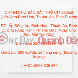 CHÍNH CHỦ BÁN ĐẤT THỔ CƯ 290m2 (12x24m) Bình Hoà, Thuận An, Bình Dương _0