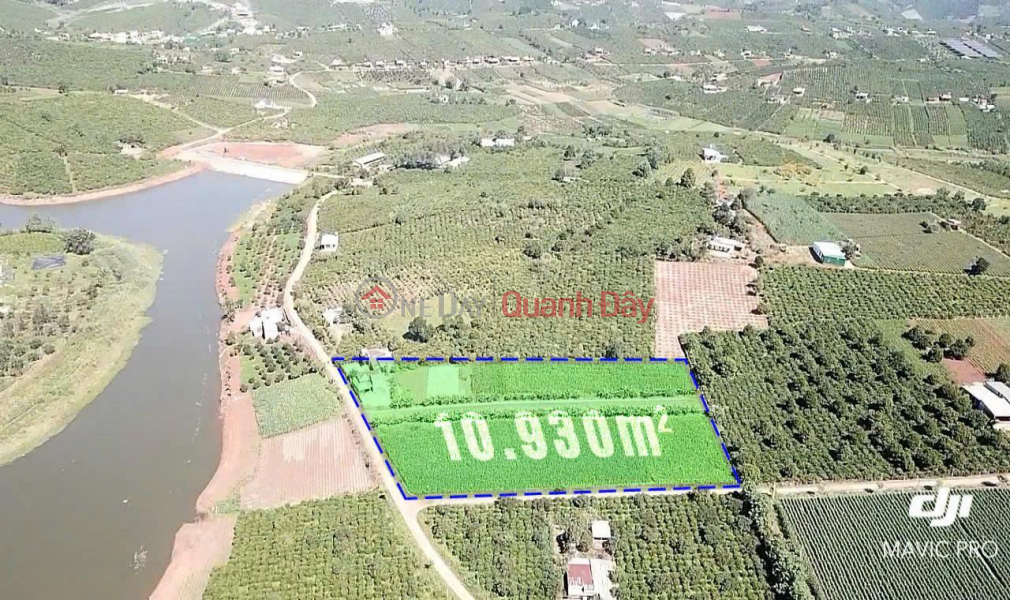 Property Search Vietnam | OneDay | Residential Sales Listings Big discount of 1 billion! 1.1Ha Corner Land, 12m Road - Phuc Tho Commune, LD