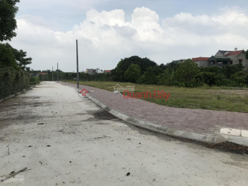 Land for sale at auction in Chuong Loc, Chuong Duong, Thuong Tin district, Hanoi. Sales Listings