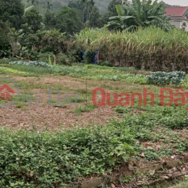 Owner needs money to sell 400m2 of residential land in Luong Son Hoa Binh, a few hundred meters from Highway 6, only 2.2 billion _0