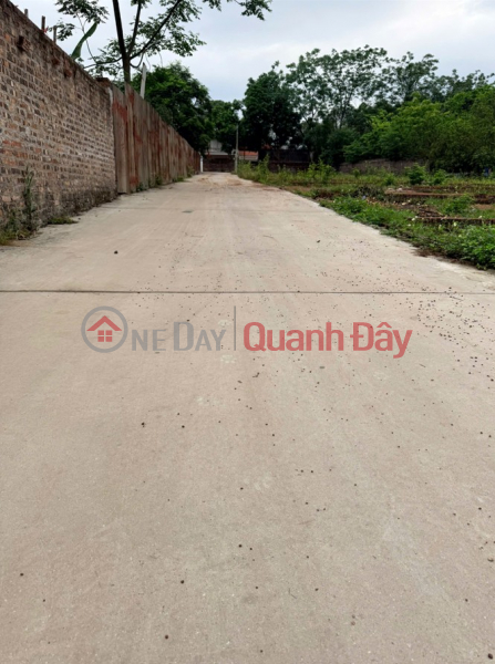 Property Search Vietnam | OneDay | Residential, Sales Listings Dung Land is selling beautiful land plots in Thang Huu, Kim Anh, Hanoi - Many options starting from just over 2 billion VND.