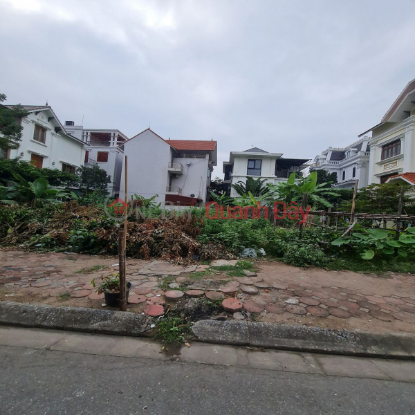 Property Search Vietnam | OneDay | Residential | Sales Listings Land for sale in Trau Quy, Gia Lam, Hanoi. 61m2. Frontage 4m, road 13m, good price. Contact 0989894845