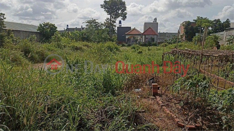 OWNER'S LAND - FRONTAGE Rung Dau Hamlet, My Hanh Bac Commune, Duc Hoa District, Long An _0