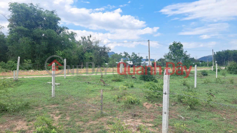 ️Opening for sale 3 plots of land with full residential land in Ba Dui, Khanh Binh, Khanh Vinh. _0