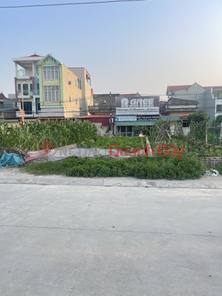 Land for sale at auction X5 Trung Oai Tien Duong Dong Anh, business street price 6X Sales Listings
