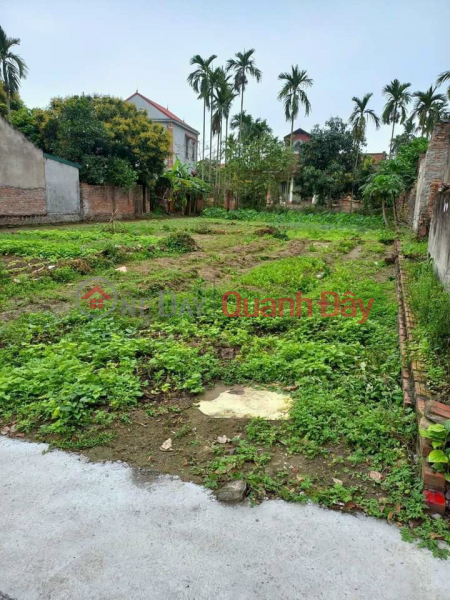 Property Search Vietnam | OneDay | Nhà ở | Niêm yết bán, Cần bán 58m2 đất tại Lê Xá, Dương Quang, Mỹ Hào, Đường thông, ô tò vào nhà