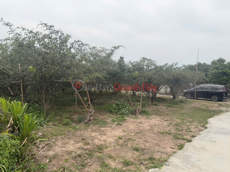 đ 380 triệu ĐẤT NỀN CHŨ BẮC NINH GIÁ 380 TRIỆU 400M2 ĐƯỜNG Ô TÔ Nguyễn Hùng BĐS - 0989333012