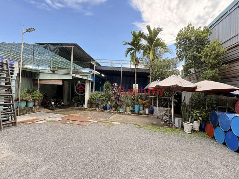 Factory Front House SHR 10m Road 1242m2 – Thoi Tam Thon 6 Hoc Mon Sales Listings