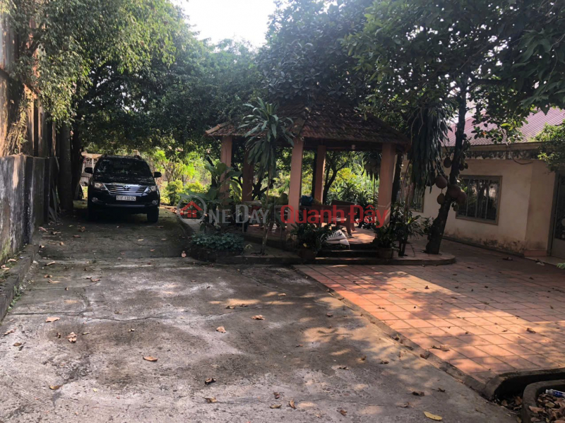 NHÀ VƯỜN ĐẸP – CHÍNH CHỦ CẦN BÁN Nhà Vườn Mặt Tiền Đường Nam Cao, P. Tân Mai, Biên Hòa, Đồng Nai | Việt Nam, Bán | đ 19 tỷ