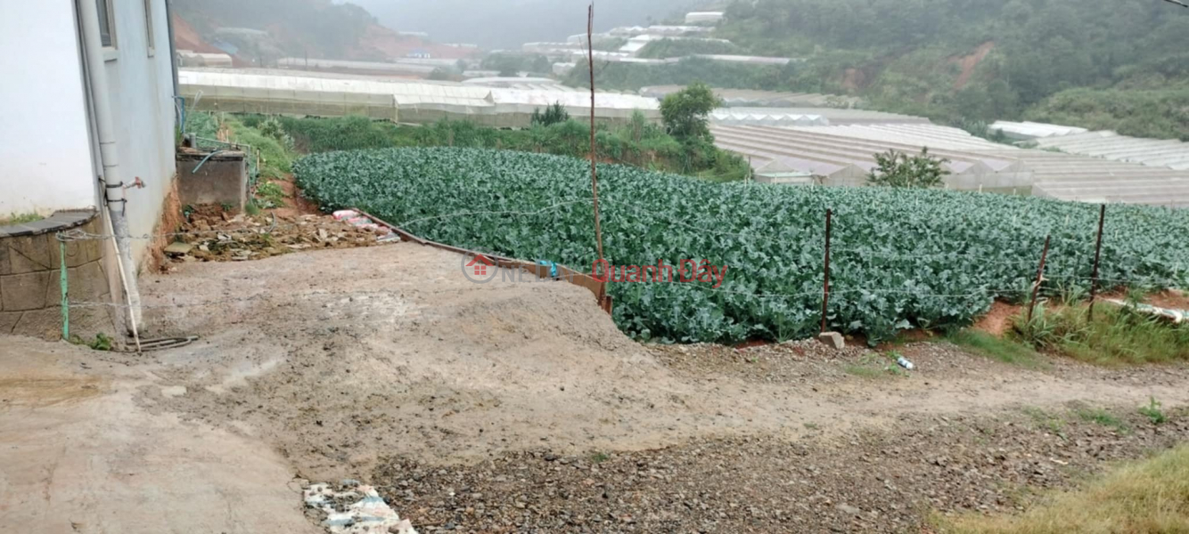 PRIMARY LAND - GOOD PRICE - Beautiful Location In Lac Duong, Lam Dong Sales Listings