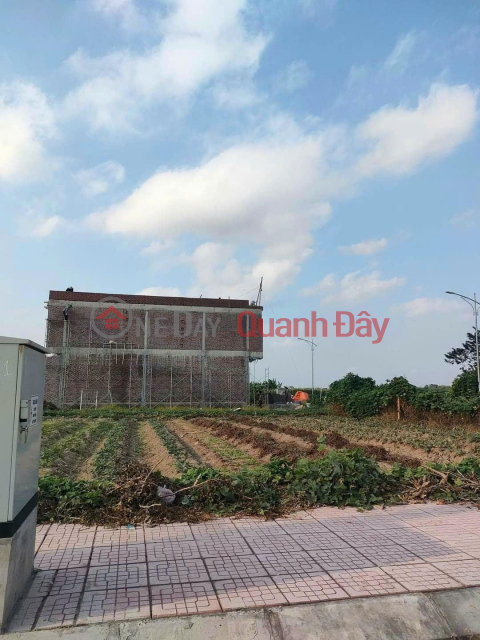 Beautiful Land - Good Price - Owner Needs to Sell Corner Lot in Tu Cuong Residential Area, An Cau Commune, Quynh Phu District, Thai Province _0
