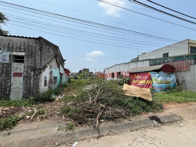 BEAUTIFUL LAND - CHEAP PRICE - OWNER NEEDS TO SELL LAND LOT in Quang Thanh Ward, City. Thanh Hoa - THANH HOA, Vietnam Sales | đ 4 Billion