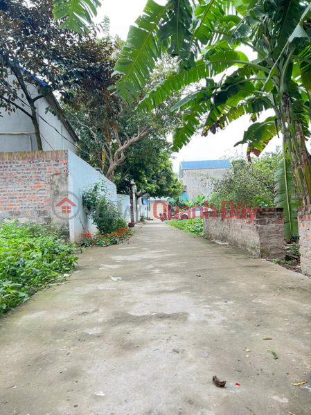 Phuong Nghia Phung Chau has only one plot of 54'5 m, 500 m from the sports university Vietnam, Sales | ₫ 1.25 Billion