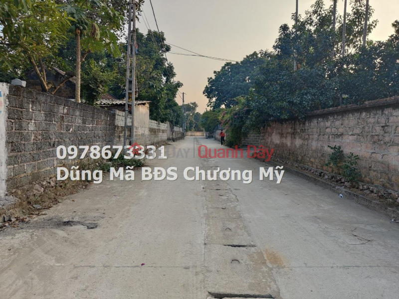 PRICE ONLY 3TY9 TO OWN BEAUTIFUL LOT OF LAND IN NAM PHUONG TIEN-CHUONG MY, Vietnam, Sales | đ 3.9 Billion