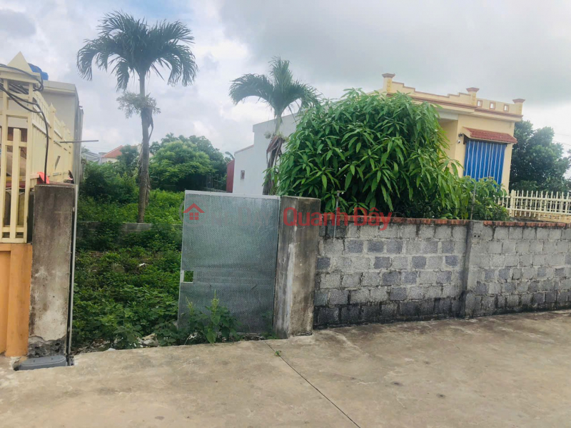 OWNER'S LAND - ROAD FRONTAGE OF Dong Tien Residential Area, Giao Thuy Town, Giao Thuy District, Nam Dinh Province Sales Listings