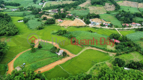 Need to Sell Land Lot in Nice Location Quickly in Ngoc Lac District, Thanh Hoa Province. _0