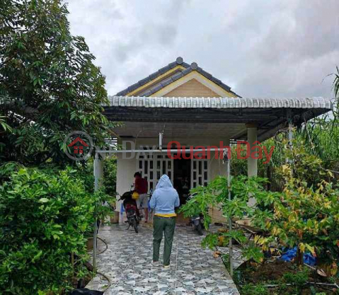 mảnh vườn trồng cây ăn quả đủ loại rộng 1 sào _0