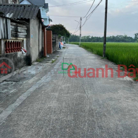 Land for sale 43.3m2 Dai Bi Uy No Dong Anh near Kim Quy park _0