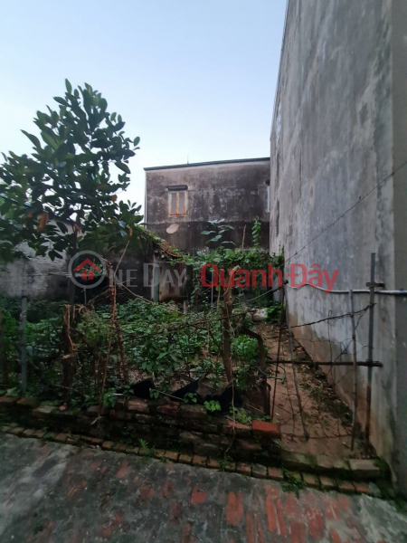 Property Search Vietnam | OneDay | Residential Sales Listings Consignment for sale of 42.5m2, a little over 1 billion, land in Dai Yen commune, Chuong My, Hanoi, adjacent to TL419