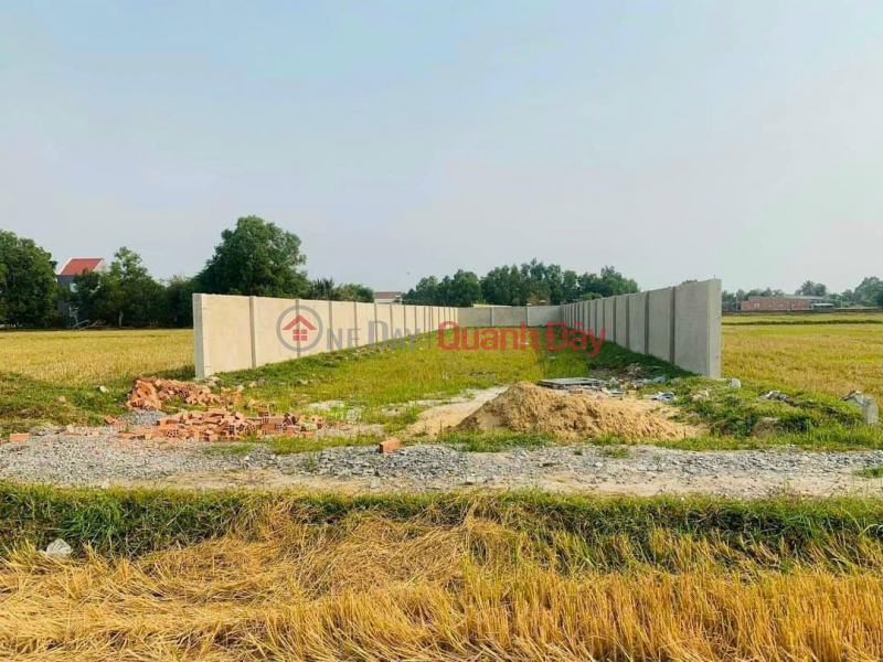 FAST SALE BEAUTIFUL LOT OF LAND - GOOD PRICE Location In Hau Nghia Town, Duc Hoa, Long An Sales Listings