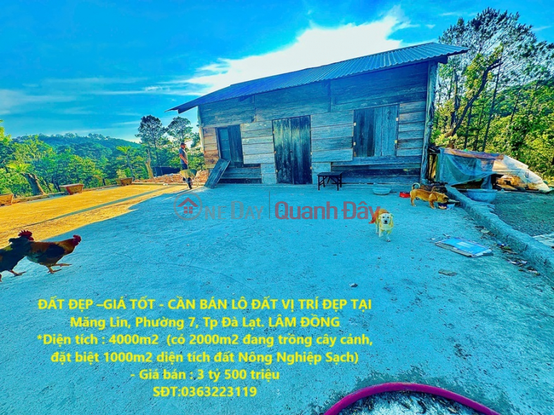 BEAUTIFUL LAND - GOOD PRICE - NEED TO SELL A LOT OF LAND IN A GOOD LOCATION IN Mang Lin, Ward 7, Da Lat City. LAM DONG Sales Listings