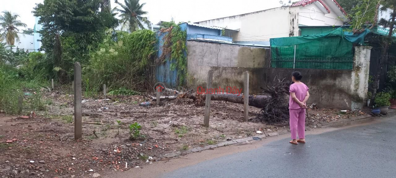 BEAUTIFUL LAND - For Sale Fast In Alley 287 Nguyen Thong, Can Tho Rental Listings