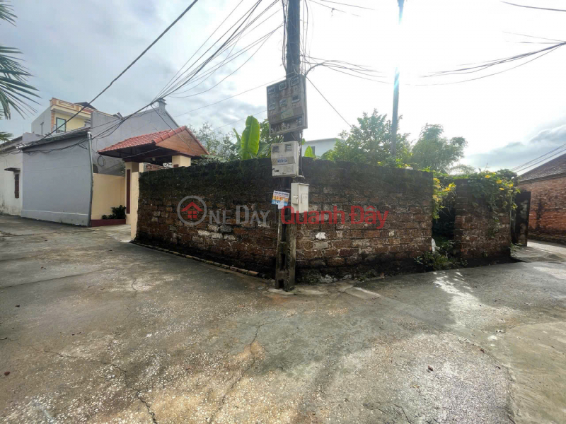 Property Search Vietnam | OneDay | Nhà ở | Niêm yết bán | Hàng FO lô góc đẹp 61m2 trung tâm xã đại yên chương mỹ