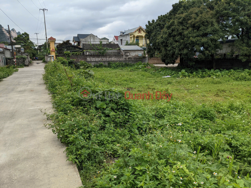 298m2 Miếu Môn Chương Mỹ, mặt đường 21A giá chỉ 25triệu/m2 | Việt Nam, Bán | đ 7,45 tỷ