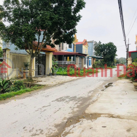 URGENT SALE Street Front Land Plot - Ung Hoe Land (Old Ninh Hoa Commune) Ninh Giang District, Hai Duong _0