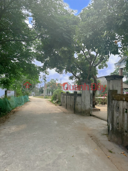 Selling 215m2 of land near Le Trach market bordering Da Nang Sales Listings