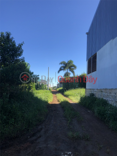 ĐẤT ĐẸP – GIÁ TỐT - CHÍNH CHỦ CẦN BÁN GẤP LÔ ĐẤT TẠI Huyện BẢO LÂM, tỉnh LÂM ĐỒNG | Việt Nam, Bán đ 950 triệu